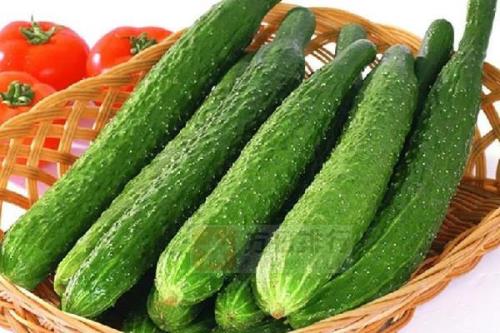 黄瓜一根多少卡路里