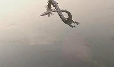 ​世界上果然有龙吗，为什么时常有创造龙的事变_本来都是编造的