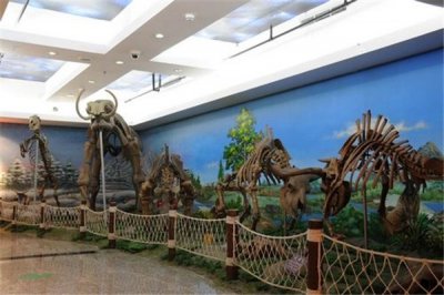 ​银龙：白垩纪的超等巨型恐龙（表面恐怖品格温柔）