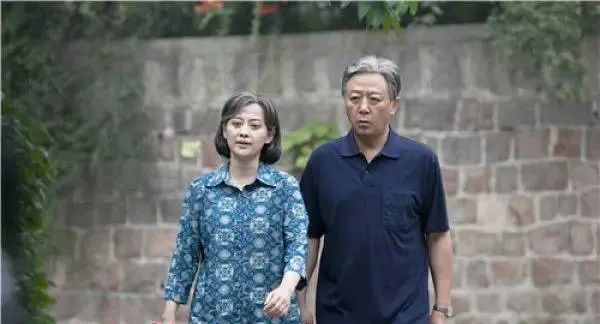 有什么好看的电视剧（推荐10部必看的国产影视剧）