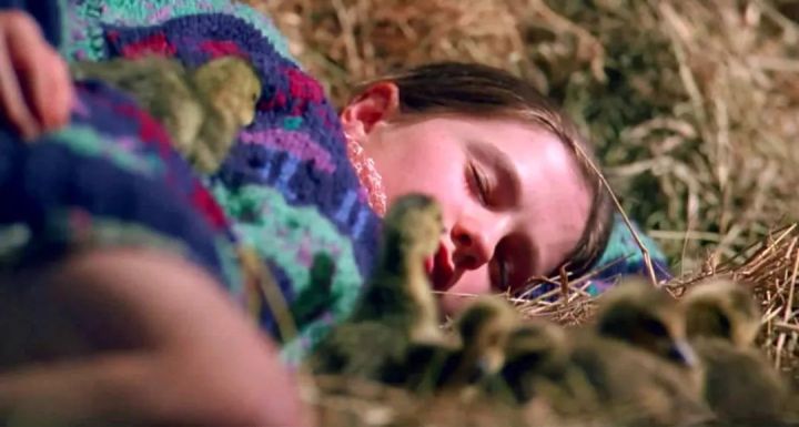 十部教育孩子的电视剧（10部豆瓣高分电影分享）