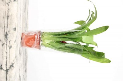 ​鸿运当头适合放客厅吗