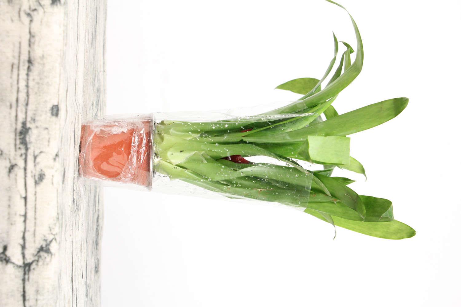 鸿运当头 鸿运当头