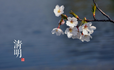 ​上坟的五碗菜都是什么 上坟供菜5样都有什么