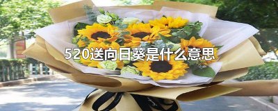 ​520送向日葵是什么意思 520送向日葵是什么意思呀