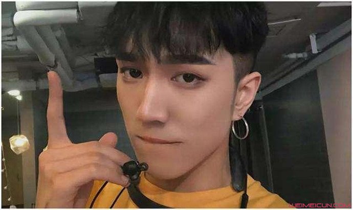 王菲韩美娟将合作