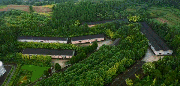 舍得时间沉淀:王阳用岁月磨炼演技,终成“叔圈顶流”