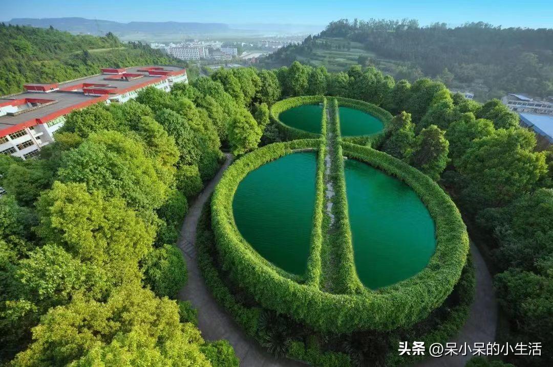 舍得时间沉淀:王阳用岁月磨炼演技,终成“叔圈顶流”