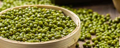 ​生绿豆泡水是否有毒 生绿豆可以泡茶喝吗有毒吗