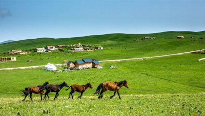 ​桑科草原有住宿的地方吗 桑科草原有住宿吗