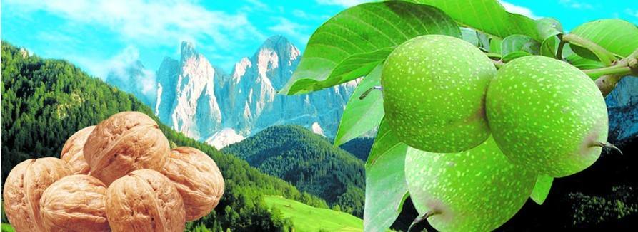 蒲县是哪个省哪个市(山西蒲县属于哪个市)