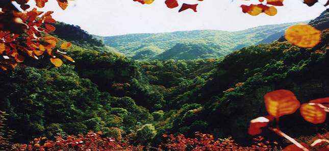 蒲县是哪个省哪个市(山西蒲县属于哪个市)