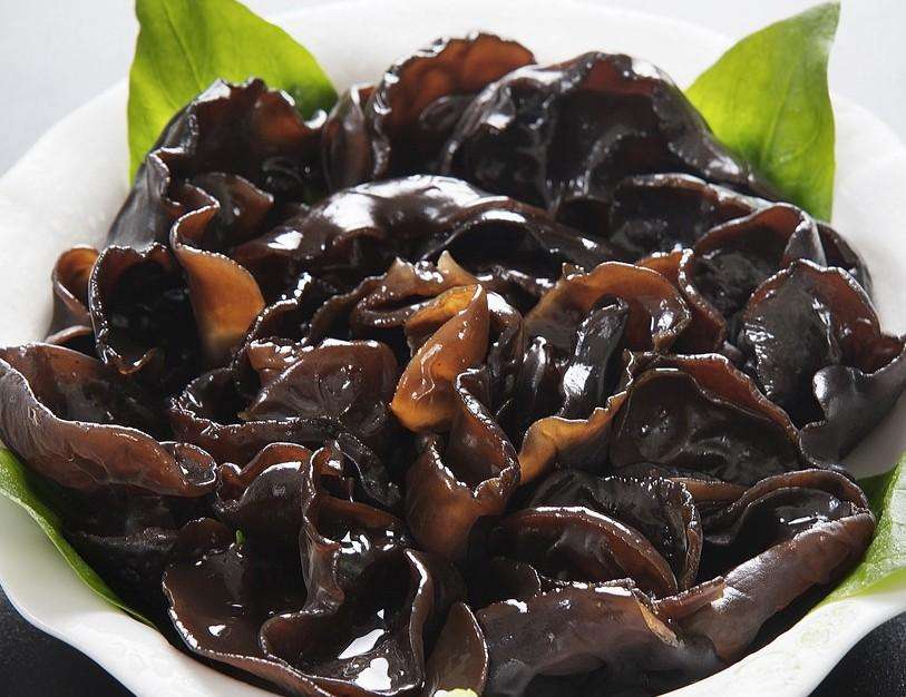 蒲县是哪个省哪个市(山西蒲县属于哪个市)