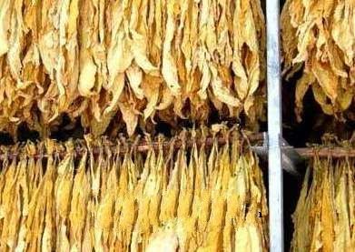 蒲县是哪个省哪个市(山西蒲县属于哪个市)