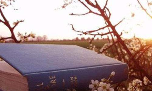 商务英语考试报名要求(怎么报考商务英语考试)