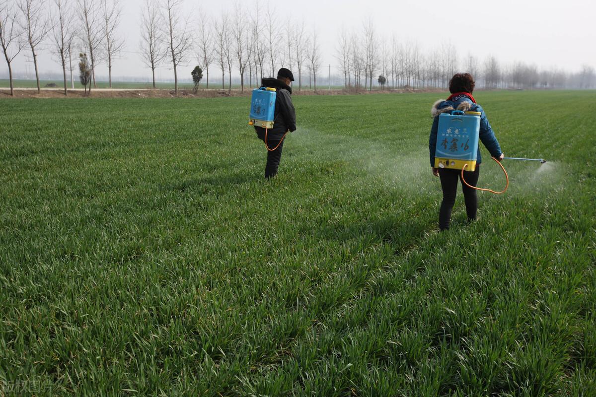 辛集市属于哪个市(河北省辛集市属于哪个市)