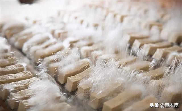 皖南毛豆腐做法（毛豆腐是安徽名菜风味独特）(1)