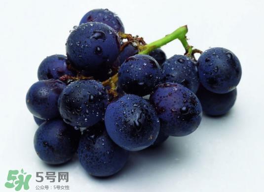 巨峰葡萄和葡萄有什么区别?巨峰葡萄是转基因的吗? 巨峰葡萄和葡萄有什么区别?巨峰葡萄是转基因的吗?