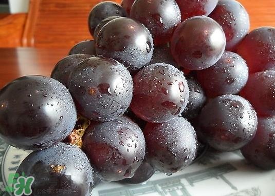 巨峰葡萄和葡萄有什么区别?巨峰葡萄是转基因的吗? 巨峰葡萄和葡萄有什么区别?巨峰葡萄是转基因的吗?