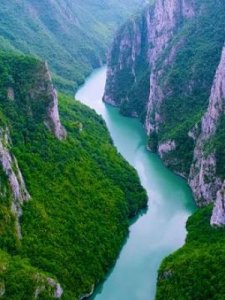 ​闻官军收河南河北的意思(闻官军收河南河北的意思简短)