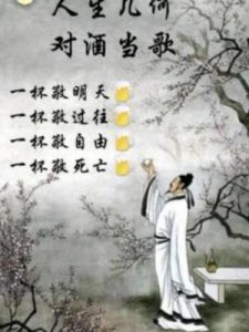 ​人生几何是什么意思(人生感悟的句子)