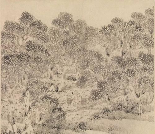 以下选项不属于有害垃圾的是什么