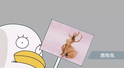 ​《动物狂想曲》正火呢，有个CP……是鹿×兔？？来折鹿角兔吧2333