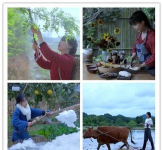 ​怎样看待网红(如何看待网红议论文800字)