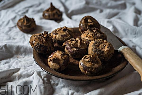 荸荠和梨子可以一起煮吗 荸荠和梨子能同吃吗