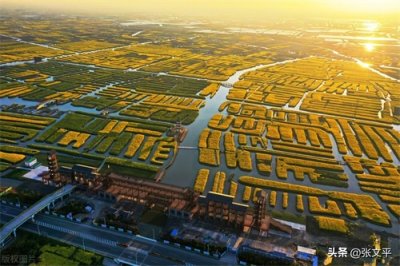 ​《人民日报》曾说“垛田油菜，全国挂帅”，你知道什么是垛田吗？