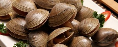 ​吃蚬子不能吃什么