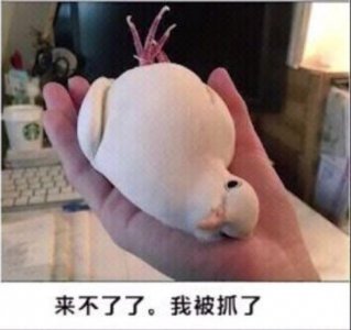 ​表情包：生活好烦我好难