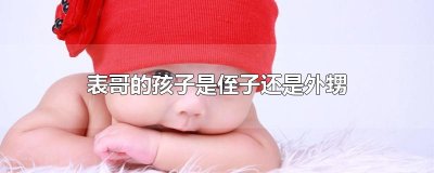 ​表哥的孩子是侄子还是外甥