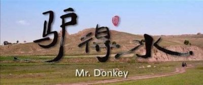 ​电影驴得水深度解析（豆瓣评分8.3驴得水）