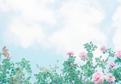 ​喝黑咖啡为什么可以减肥早晨喝咖啡能减肥吗？女生