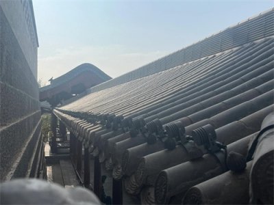 ​《摸鱼儿· 雁丘词》