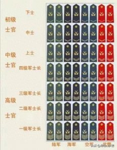 ​浅谈士官制度的进一步发展历程