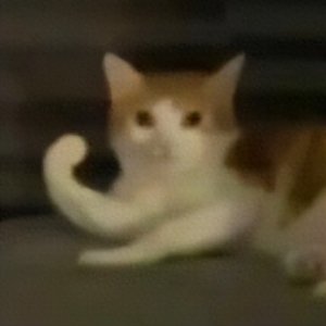 ​快乐柠檬是怎么跌下神坛的？