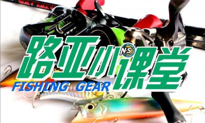 ​路亚小课堂——路亚饵的种类及本土对象鱼
