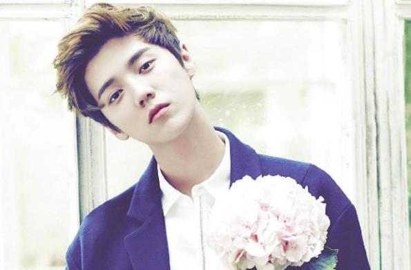 鹿晗最近怎么没消息了 鹿晗为什么突然不红了