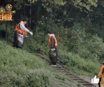 ​杨紫和邓伦王一博参加的什么综艺