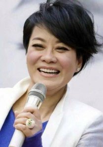 ​我国十大女歌手排行榜，毛阿敏那英位列其中