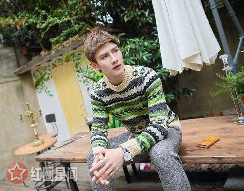 林培伟大金什么关系 大金真的插足徐琳林培伟了吗