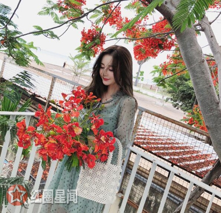 林培伟大金什么关系 大金真的插足徐琳林培伟了吗