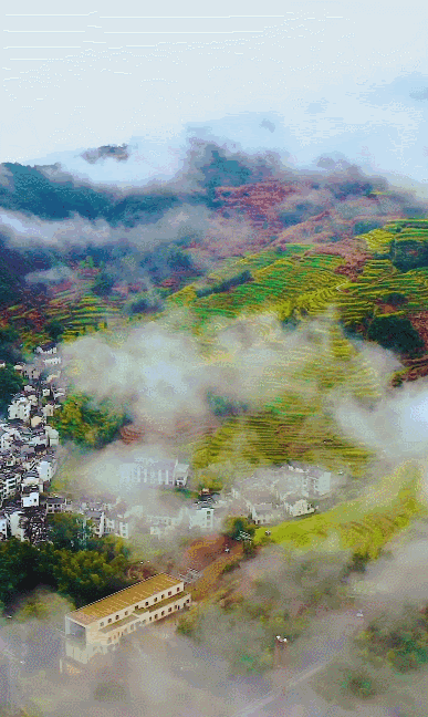 江西婺源的油菜花又开了（绝美盛开等你入画）(57)