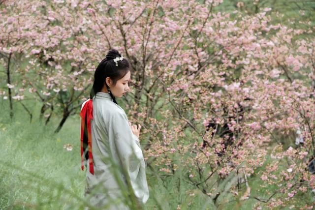 江西婺源的油菜花又开了（绝美盛开等你入画）(25)