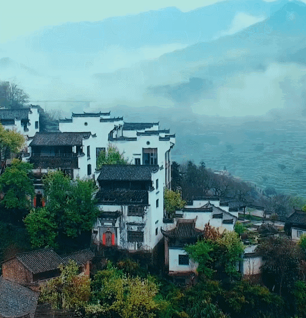 江西婺源的油菜花又开了（绝美盛开等你入画）(6)