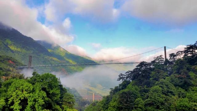 江西婺源的油菜花又开了（绝美盛开等你入画）(29)