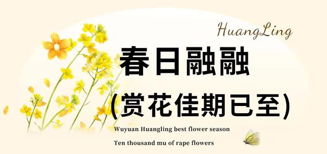 江西婺源的油菜花又开了（绝美盛开等你入画）(5)