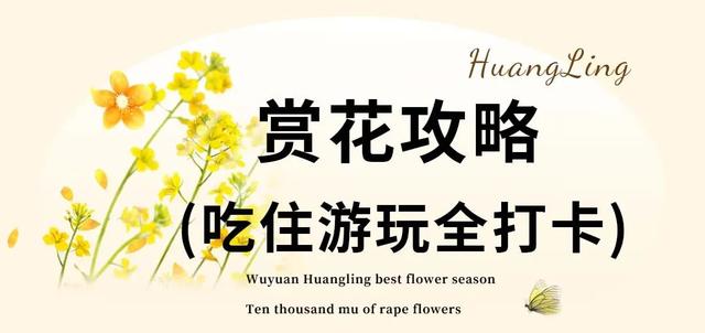 江西婺源的油菜花又开了（绝美盛开等你入画）(18)